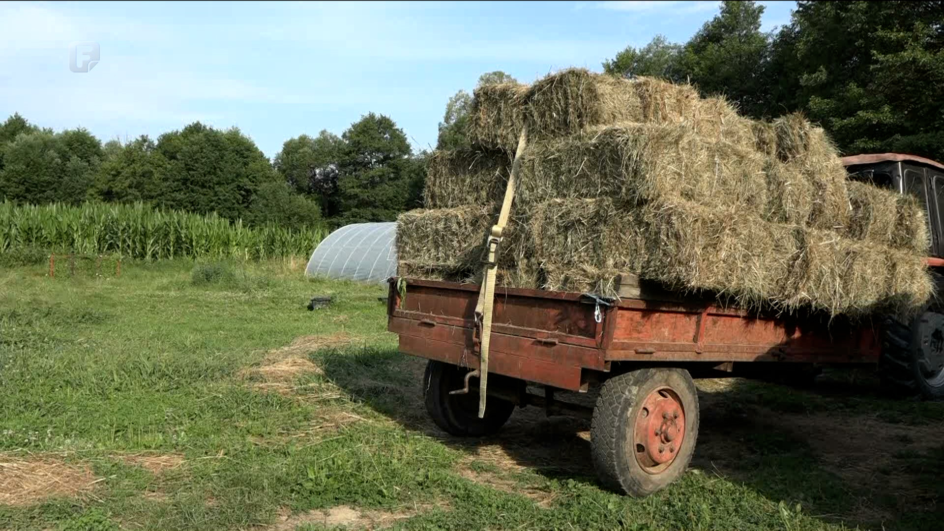 Novac je išao onima koji ne bi trebali imati pravo na poticaj